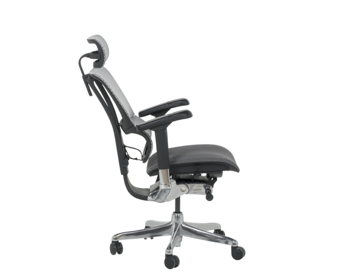 Ергономичен стол ERGOHUMAN IOO ELITE 2 - черна рамка - сив