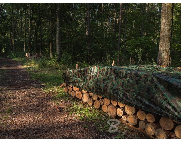 Камуфлажно платнище, Bradas, CAMOforest, подсилено, 1.5 x 5m, 90 гр/м2